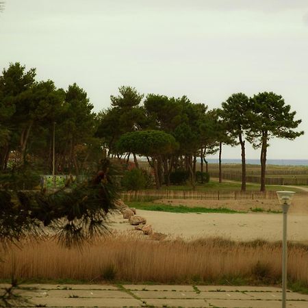 Magnifique Appartement De Type Loft En Front De Mer Avec Vue, Parking Et Wifi アルジェレス・シュル・メール エクステリア 写真