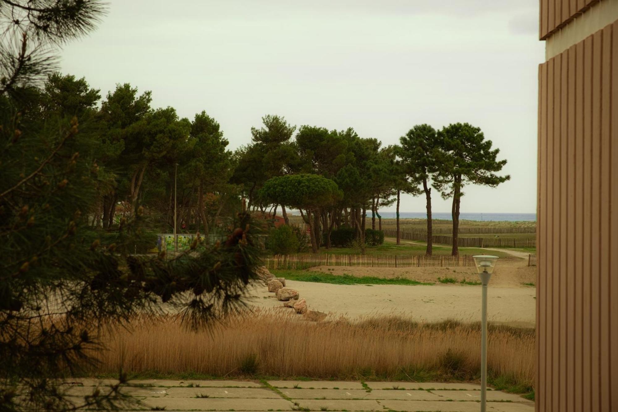 Magnifique Appartement De Type Loft En Front De Mer Avec Vue, Parking Et Wifi アルジェレス・シュル・メール エクステリア 写真